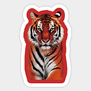 Tiger Sticker